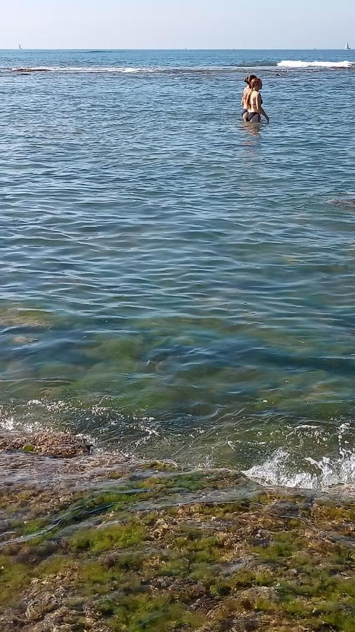 Studio Cabine Vendee Ideal En Famille Res L'Oree Du Lac Διαμέρισμα Talmont-Saint-Hilaire Εξωτερικό φωτογραφία